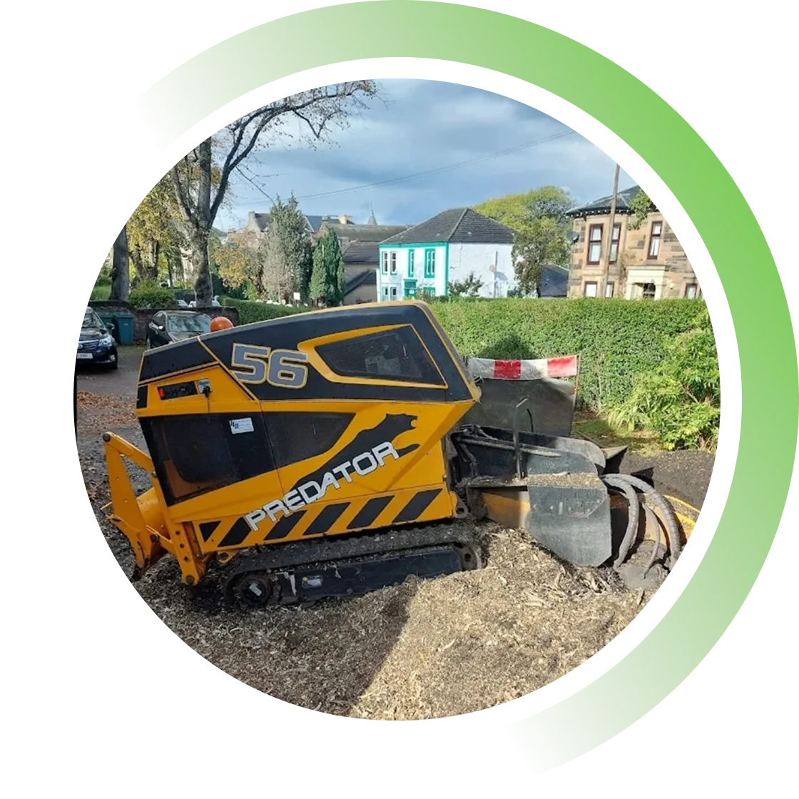 Stump Grinding Service img1